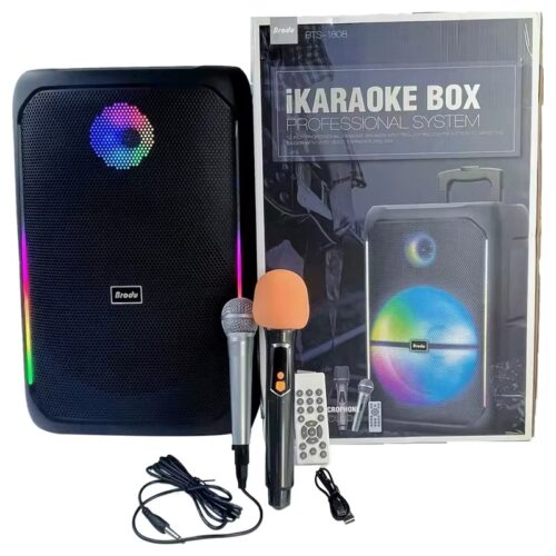 Bts-1808 Subwoofer Wireless Trolley Speaker Outdoor Home Party Karaoke Speaker 12 Inch with Two Microphones Rgb Color Lights